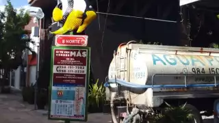 Establecimientos de la Quinta Avenida tienen que comprar pipas de agua, pero la autoridad municipal no se acerca a ellos