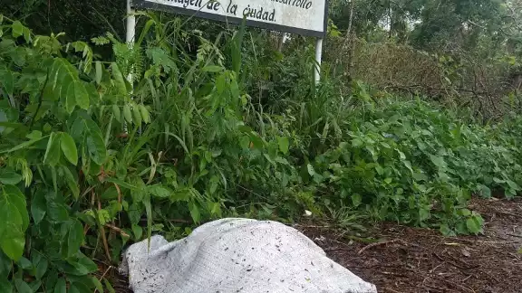 Personas desechan los cadáveres de sus mascotas en las afueras de la ciudad. Personas desechan los cadáveres de sus mascotas en las afueras de la ciudad.