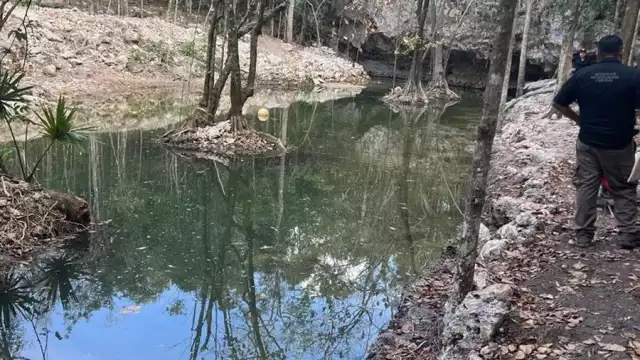 FGR en Quintana Roo llevó a cabo un fuerte operativo en el desarrollo inmobiliario por cometer daños a la biodiversidad