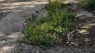 Si solo se reparan no tardaran en dañarse