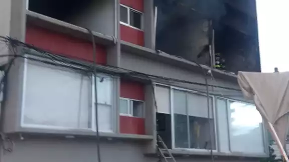 De acuerdo con el Heroico Cuerpo de Bomberos de la Ciudad de México, sus elementos extinguieron el fuego y rescataron a las mascotas De acuerdo con el Heroico Cuerpo de Bomberos de la Ciudad de México, sus elementos extinguieron el fuego y rescataron a las mascotas