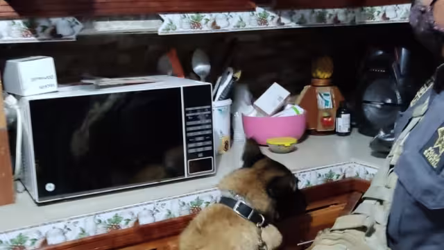 En el operativo participó una unidad K-9, quienes recorrieron cada esquina del lugar