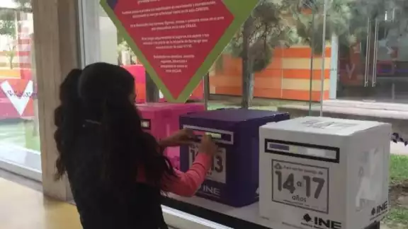 La consulta infantil y juvenil se realizó en 2021 y a dos años todavía siguen en análisis