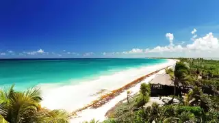 ¿Cuántas Áreas Protegidas Naturales tiene Quintana Roo?