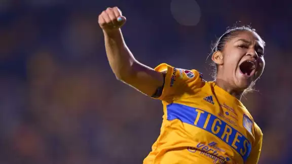 Tigres se corona campeón de la Liga MX Femenil tras vencer al América: VIDEO Tigres se corona campeón de la Liga MX Femenil tras vencer al América: VIDEO