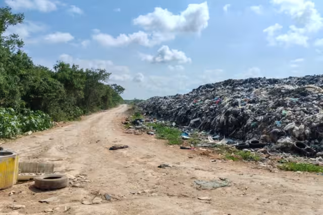 Hay emisión de olores persistentes  y proliferación de fauna nociva