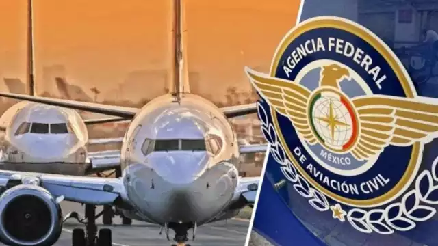 La Subsecretaría de Transporte de la SICT determinará las causas probables y factores que ocasionan dichos siniestros, con la finalidad de prevenirlos
