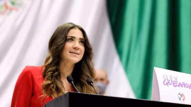 Paloma Sánchez es diputada y secretaria de Comunicación Institucional del PRI  Foto: Congreso de la Unión