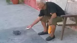 El ataque del pasado viernes al adulto mayor tuvo consecuencias graves