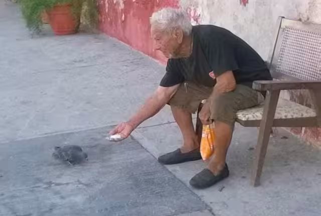 El ataque del pasado viernes al adulto mayor tuvo consecuencias graves