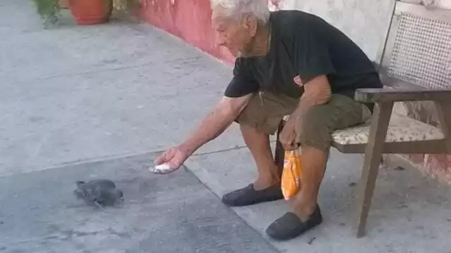 El ataque del pasado viernes al adulto mayor tuvo consecuencias graves