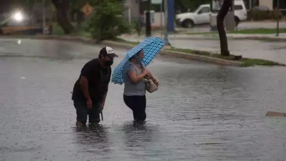 En 1995 los huracanes Opal y Roxana afectaron fuertemente la Península de Yucatán En 1995 los huracanes Opal y Roxana afectaron fuertemente la Península de Yucatán