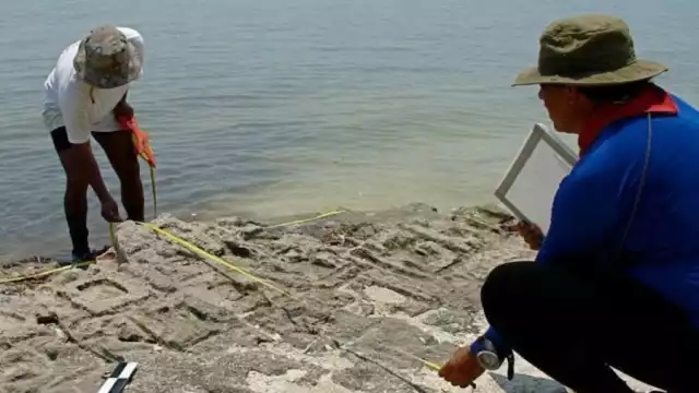 La segunda pirámide de Kukulcán podría estar en Campeche