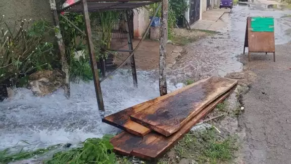 Ocurrió sobre la calle Jacinto Pat entre Chichankanab y Sabán de la colonia Guadalupe.