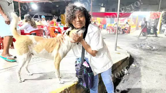Todas las noches, los canes esperan a la mujer para recibir un poco de comida, así como numerosas caricias Todas las noches, los canes esperan a la mujer para recibir un poco de comida, así como numerosas caricias