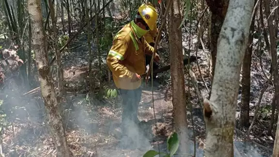 Se registran en Nuevo Noh Bec y en San Carlos Se registran en Nuevo Noh Bec y en San Carlos
