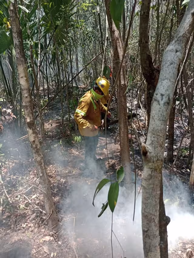 Se registran en Nuevo Noh Bec y en San Carlos