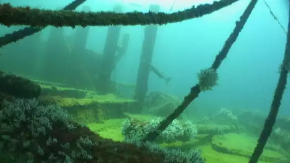 Los responsables de la compañía decidieron que la embarcación permaneciera en el mar bajo el embate del huracán “Roxana” y se hundió entrada la tarde Los responsables de la compañía decidieron que la embarcación permaneciera en el mar bajo el embate del huracán “Roxana” y se hundió entrada la tarde
