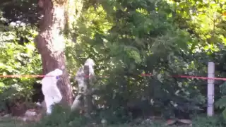 Las autoridades acordonaron la zona