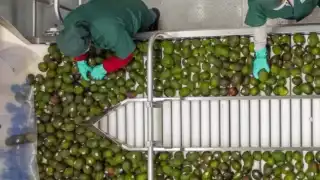 México resuelve caso de derechos laborales en empres RV Fresh Foods