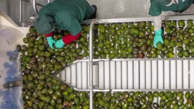 La Secretaría de Economía cerró con éxito el caso de RV Fresh Foods al amparo del Mecanismo Laboral de Respuesta Rápida del T-MEC