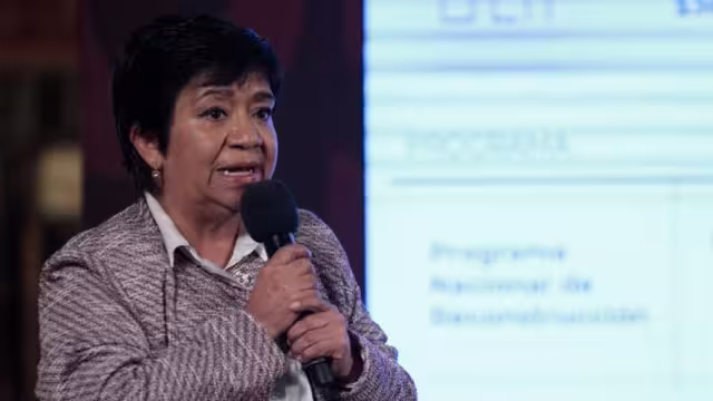 Edna Elena Vega Rangel, subsecretaria de Ordenamiento Territorial y Agrario de la Secretaría de Desarrollo Agrario, Territorial y Urbano (Sedatu)