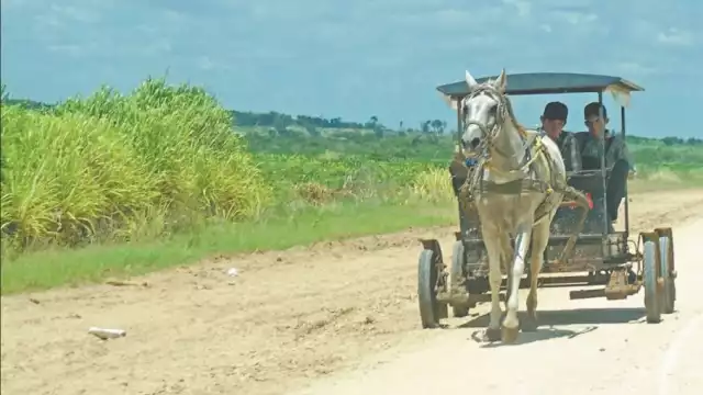 La historia de Campeche con la deforestación lleva un par de décadas