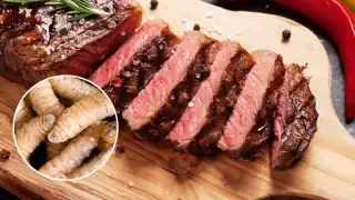 ¿Se puede comer la carne de ganado infectado por el gusano barrenador?