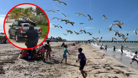 Ingresar con un vehículo a la playa puede sancionarse con fuertes multas e incluso con la cárcel