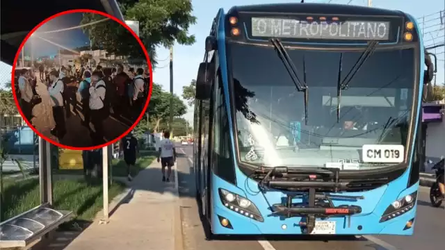 El operativo cuenta con el apoyo de 20 autobuses convencionales y 20 vans