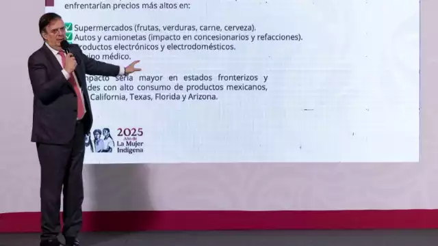 Marcelo Ebrard casaubón, secretario de Economía