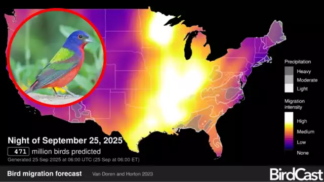 El fenómeno logró ser captado con el apoyo de 160 radares meteorológicos