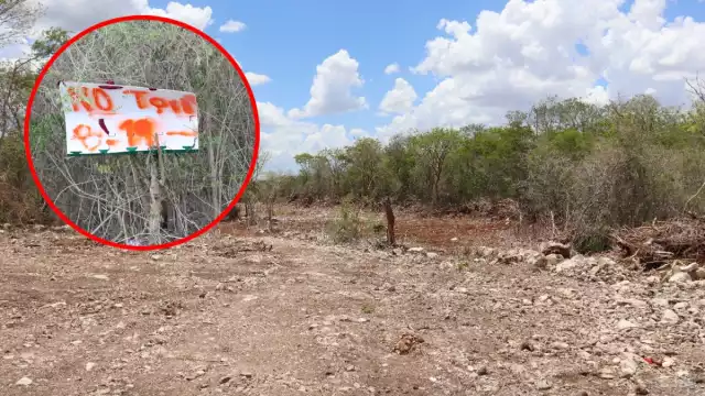 En la zona norte del polígono se identificaron diversas actividades ilícitas