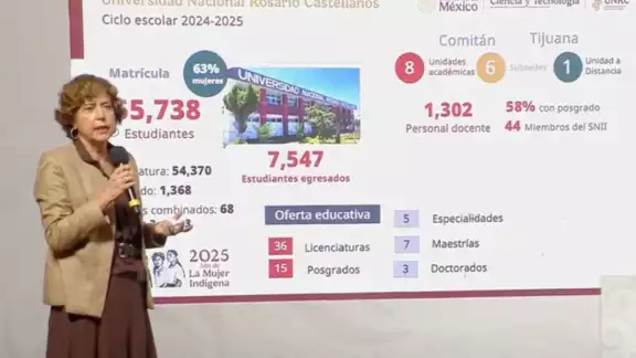 Rosaura Ruiz, secretaria de Ciencia, Humanidades, Tecnología e Innovación