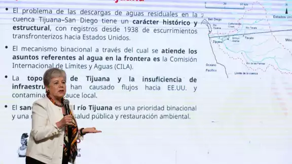 Alicia Bárcena Ibarra, secretaria de Medio Ambiente y Recursos Naturales Alicia Bárcena Ibarra, secretaria de Medio Ambiente y Recursos Naturales