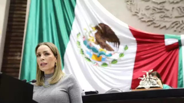 Verónica Martínez García, diputada federal