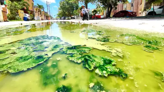 Tras las fuertes lluvias en las calles se acumula el agua, que con el paso de los días queda verdosa y con pésimo olor Tras las fuertes lluvias en las calles se acumula el agua, que con el paso de los días queda verdosa y con pésimo olor
