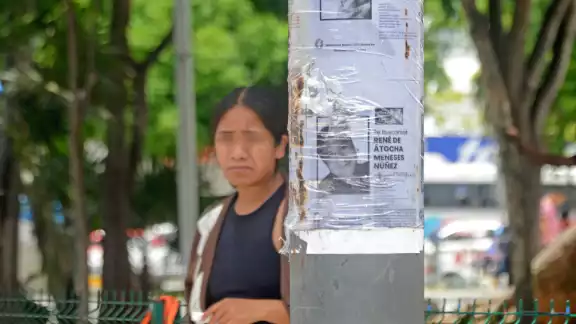 En Benito Juárez y Playa del Carmen, se ubica más del 70 % de los cuerpos no identificados En Benito Juárez y Playa del Carmen, se ubica más del 70 % de los cuerpos no identificados