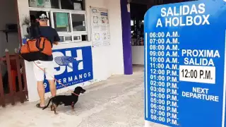 Los visitantes siguen arribando a Holbox para despedir al 2020