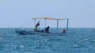 Yucatán suma seis santuarios pesqueros reconocidos como áreas restringidas de   conservación de especies