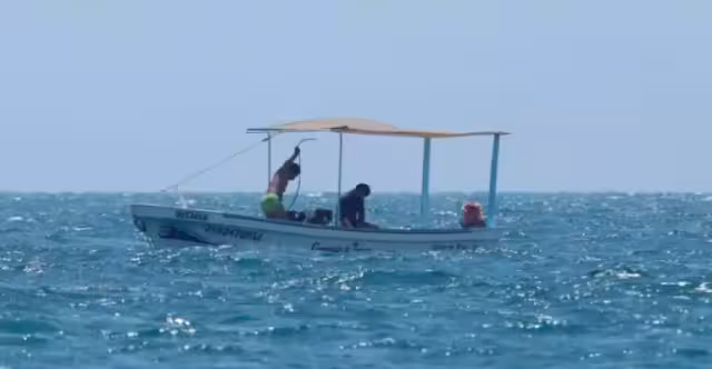 La Zona de Refugio Pesquero Parcial Temporal, por cinco años, se ubica en Chuburná Puerto