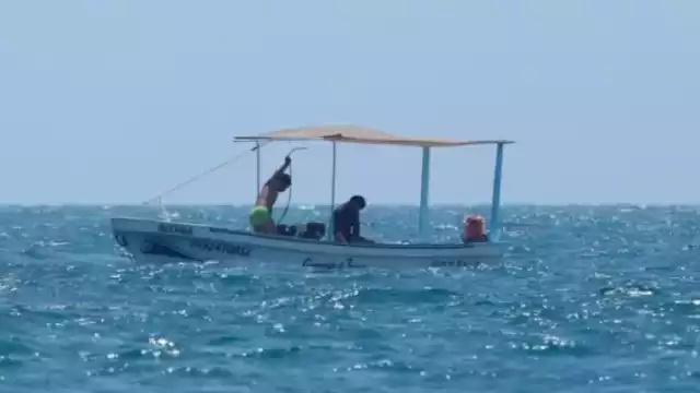 La Zona de Refugio Pesquero Parcial Temporal, por cinco años, se ubica en Chuburná Puerto