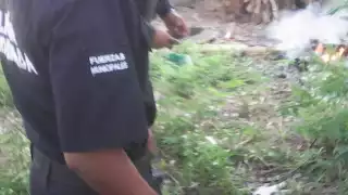 Pese a los intentos de la mujer, la mascota finalmente falleció por las quemaduras