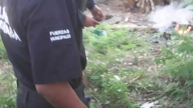 Pese a los intentos de la mujer, la mascota finalmente falleció por las quemaduras