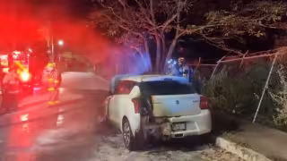 Al lugar llegaron elementos del Heroico Cuerpo de Bomberos de Playa del Carmen