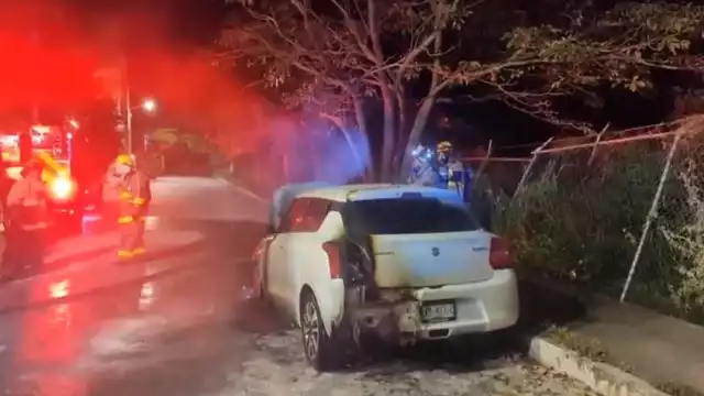 Al lugar llegaron elementos del Heroico Cuerpo de Bomberos de Playa del Carmen