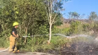 Incendio moviliza a bomberos y paramédicos en José María Morelos