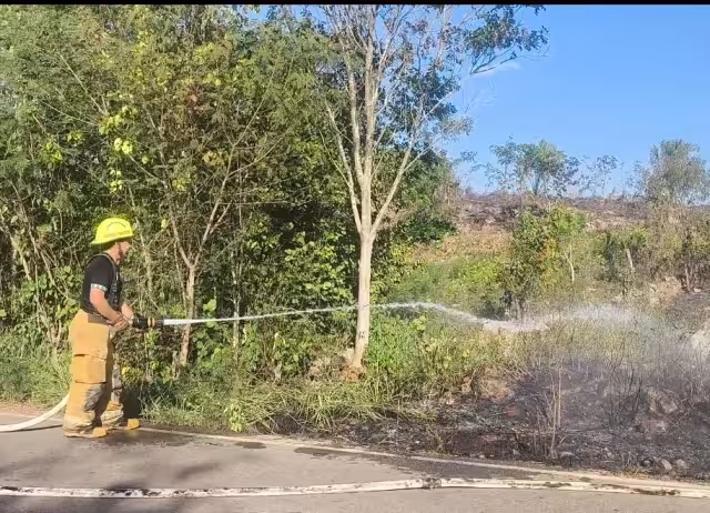 Elementos del Cuerpo de Bomberos llegaron al lugar y sofocaron el fuego.