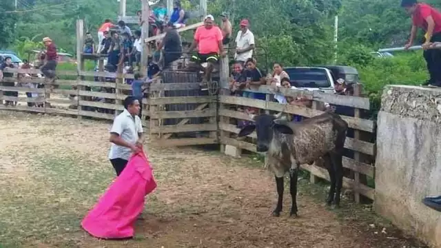 Aseguró que la ley fue promovida sin pensar en los efectos secundarios que traería a la economía