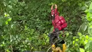 Vecinos exigen una pronta investigación, pues el temor va en aumento, especialmente entre las personas mayores